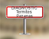 Diagnostic Termite ASE  à Pézenas